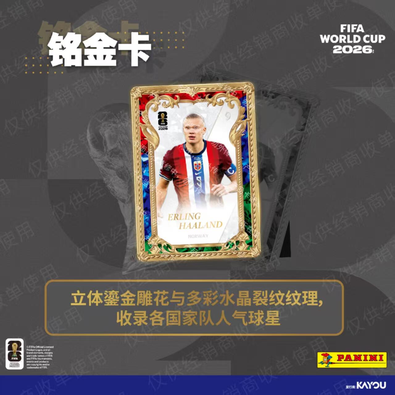 KAYOU Panini FIFA World Cup 20 – Board Game Nature recenzja i cena