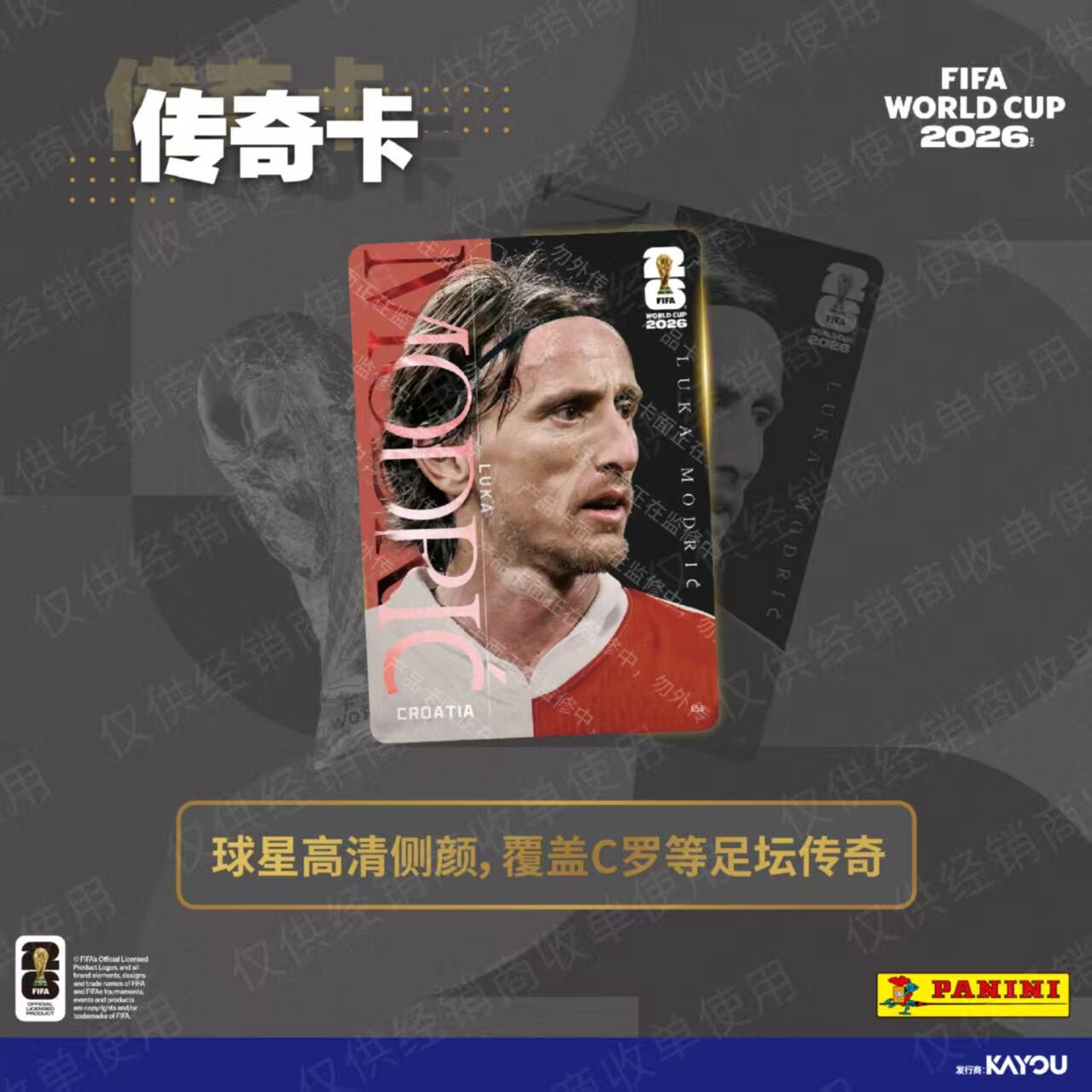 KAYOU Panini FIFA World Cup 20 – Board Game Nature recenzja i cena